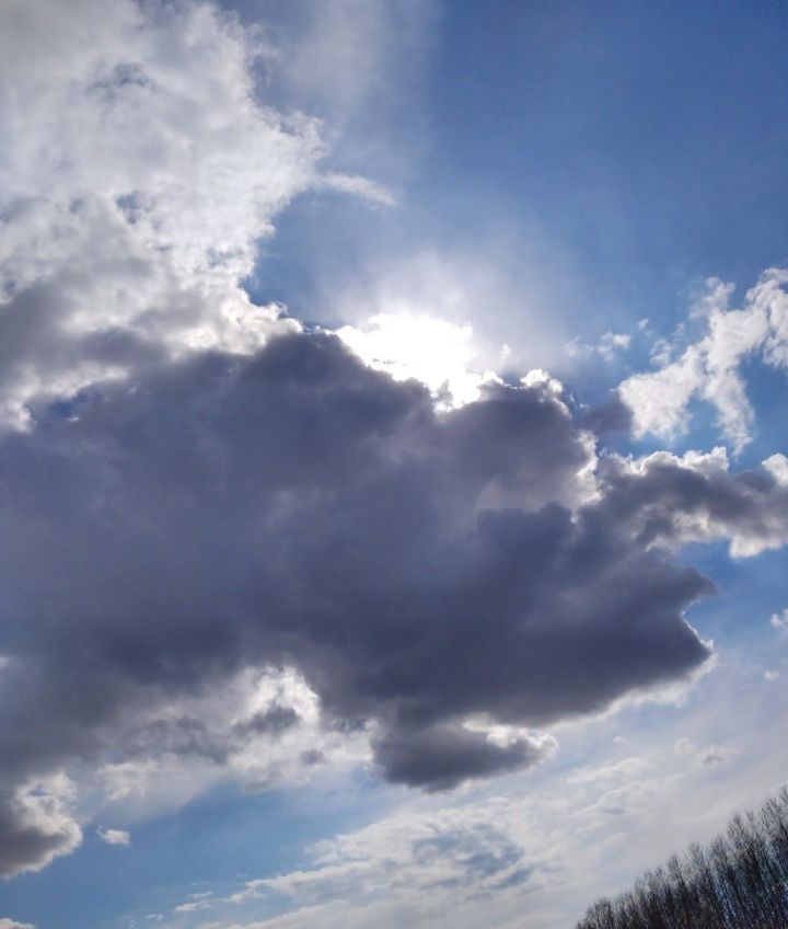 Облака плывут вверх – погода будет ясной