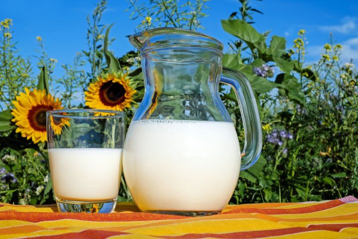 Татарстан за сутки произвел более 4 тыс. тонн молока