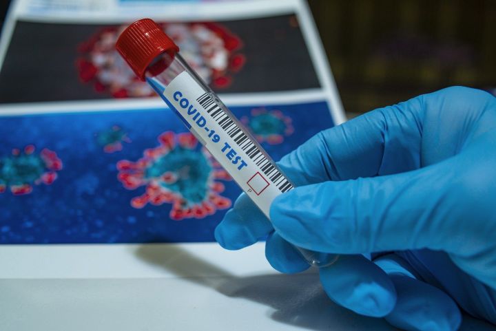 В 10 районах Татарстана выявлены новые случаи коронавируса