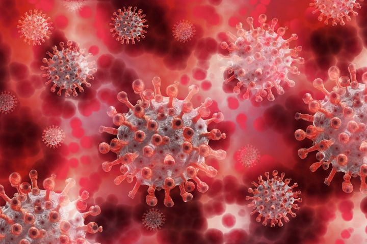 Более 6 тыс. человек в Татарстане заразилось коронавирусом