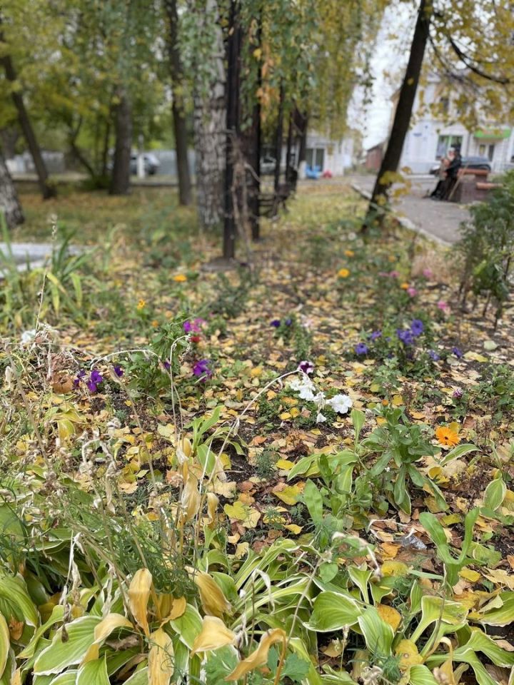 По прогнозам синоптиков на территории Татарстана ожидаются заморозки