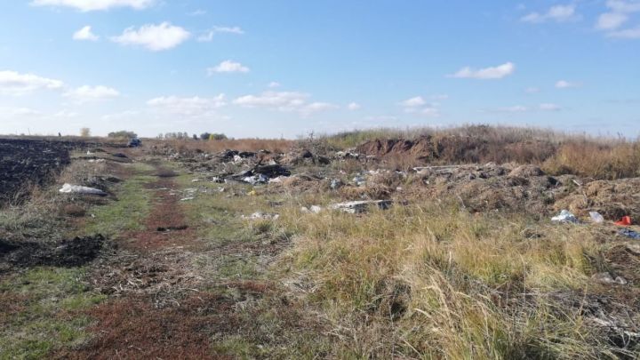 В Чистопольском районе обнаружена несанкционированная свалка