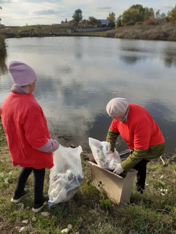 Работники культуры чистопольского села организовали акцию «Чистая среда»