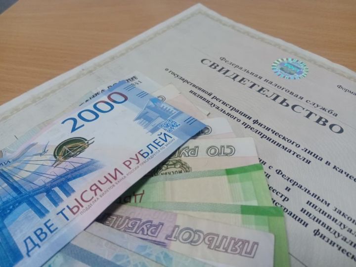 В Чистополе более 280 предпринимателей и некоммерческих организаций получили гранты за нерабочие дни