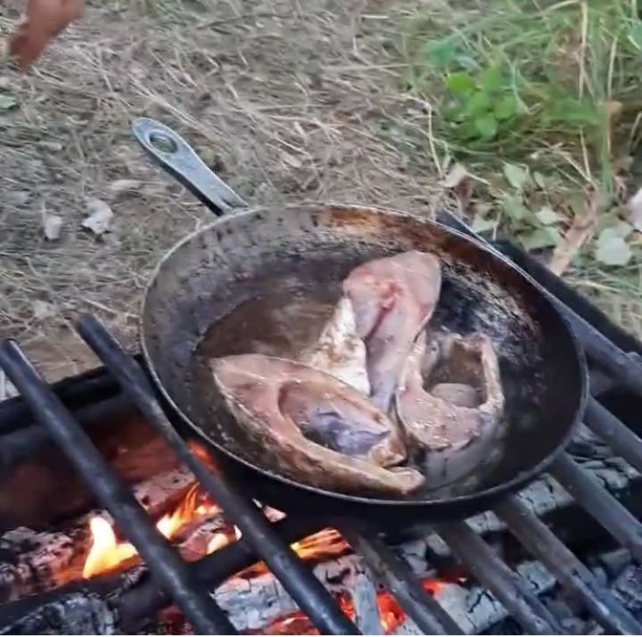 МЧС напомнило татарстанцам, как безопасно приготовить еду на открытом огне