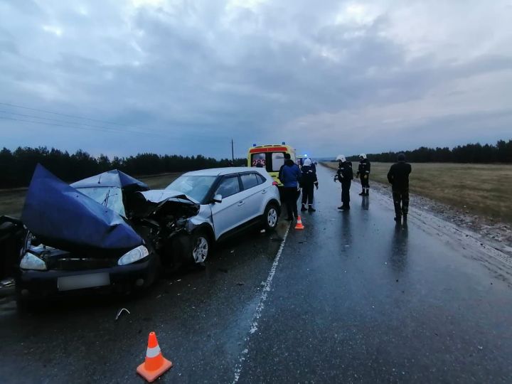 В Алексеевском районе произошло смертельное ДТП