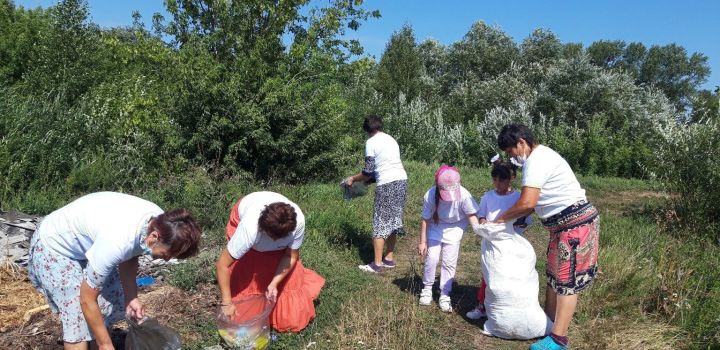 В чистопольском селе провели экологическую акцию