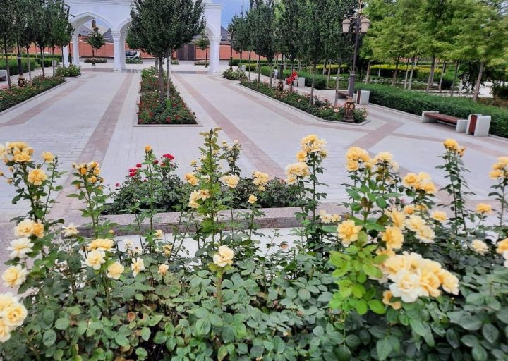 Более пятидесяти общественных пространств благоустроят в Татарстане в текущем году