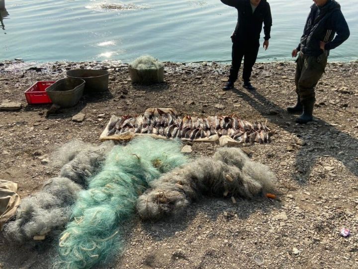 В РТ  задержаны  браконьеры, ловившие  сетью рыбу