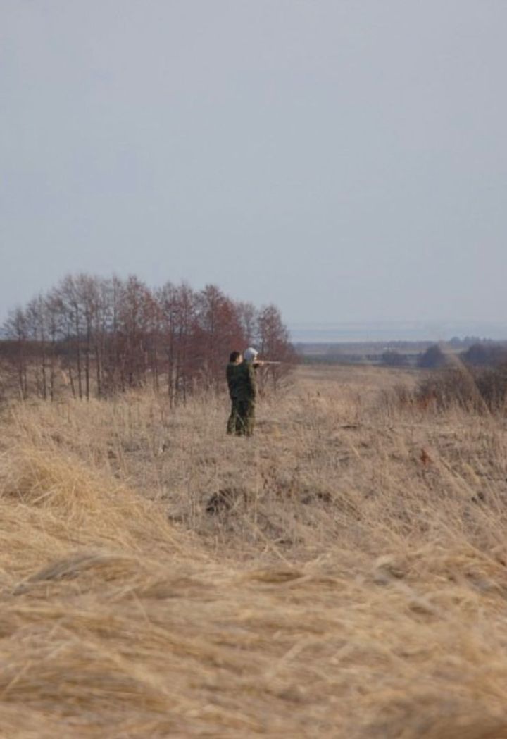 В РТ открывается сезон охоты на пушных животных