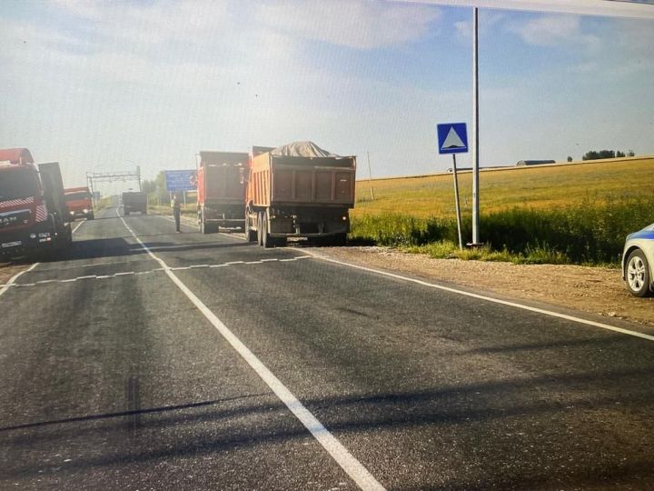 Безопасность на дорогах: недалеко от Чистополя пройдет операция «Тоннель»