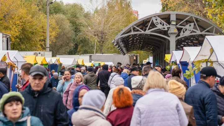 Почти 300 тонн сахара и 637 тысяч штук яиц продано на сельхозярмарках