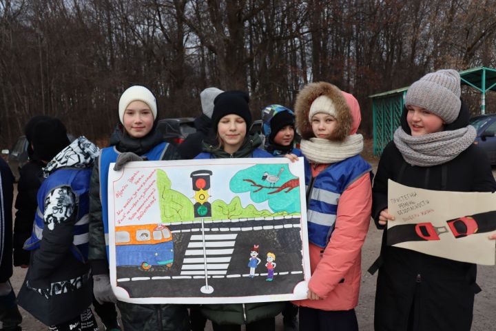 В Чистополе дети с плакатами вышли на улицы города и призвали всех соблюдать правила дорожного движения