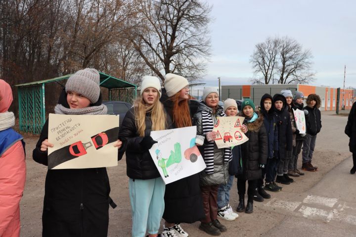 В Чистополе дети с плакатами вышли на улицы города и призвали всех соблюдать правила дорожного движения