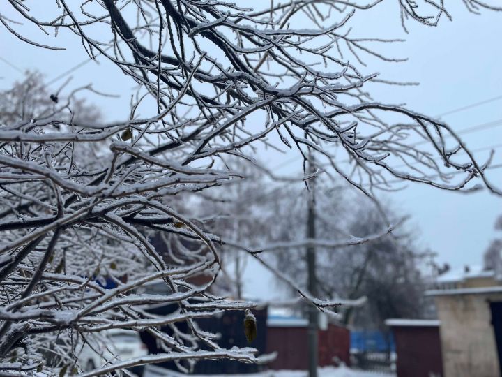 29 ноября: Чем знаменателен день