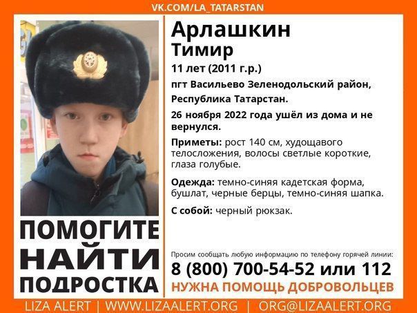 В поселке Васильево ищут пропавшего 11-летнего мальчика