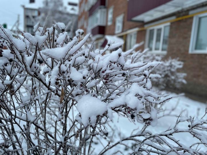 В первый день зимы термометры в Чистополе покажут до минус 10 градусов