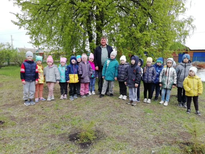 Накануне выпускного воспитанники чистопольского детского сада высадили сосновую аллею