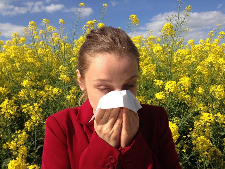 Главный аллерголог Татарстана рассказала о достаточно агрессивном пылении этой весной