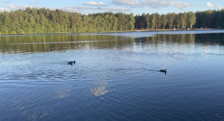 Синоптики прогнозируют  аномально жаркую погоду до конца месяца