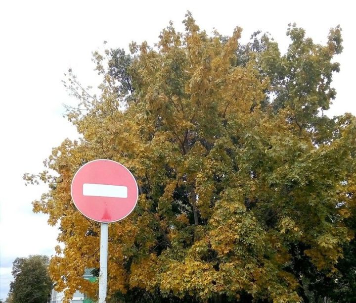 В столице РТ почти на год будет ограничено движение по улице Северо-Западная