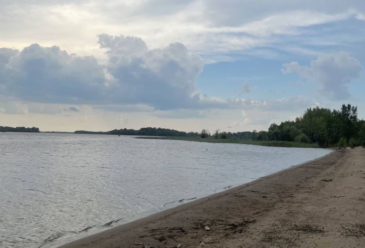 На одном из пляжей Татарстана Роспотребнадзор обнаружил кишечных паразитов