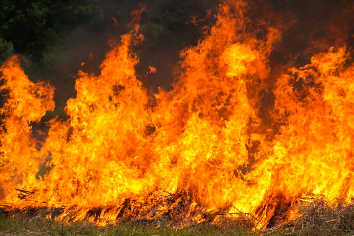 В РТ  объявлено штормовое предупреждение из-за опасности пожаров в лесах