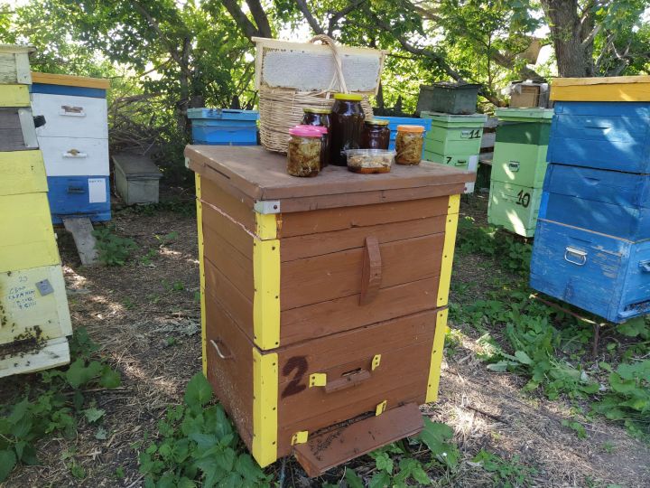 Как отличить настоящий мед от подделки: советы пчеловода-любителя