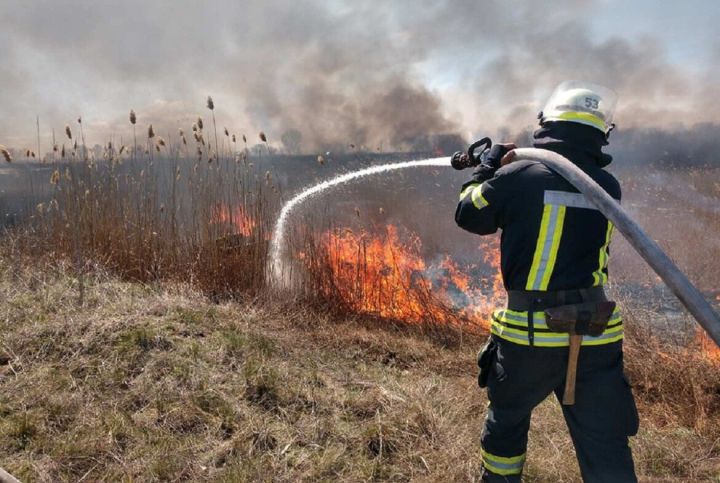 С начала 2022 года в РТ зафиксировано 457  загораний сухой травы
