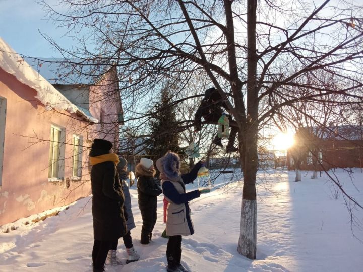 Ребята чистопольского села приняли участие в акции «Покормите птиц зимой»