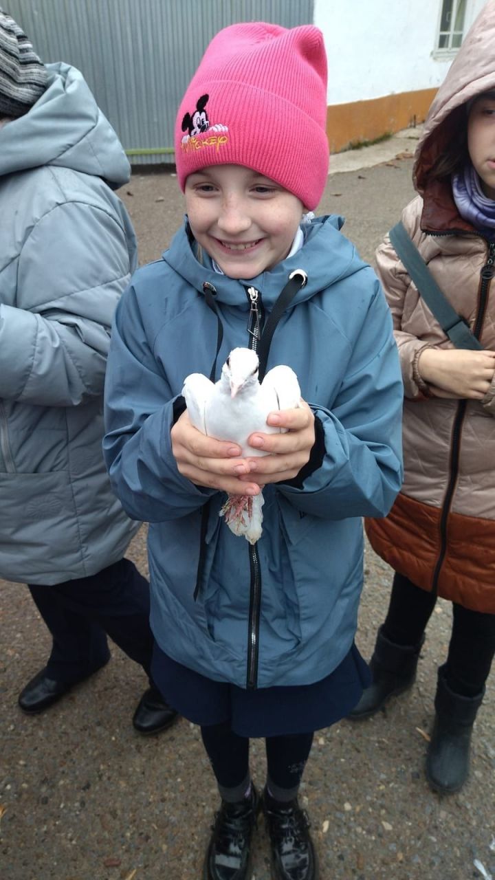 На экскурсию к чистопольскому голубеводу пришли школьники