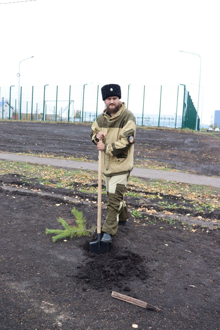 В новом сквере в Чистополе посадили около 70 молодых сосен