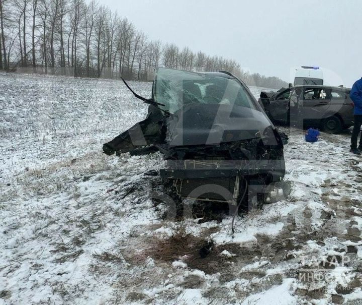 В Менделеевском районе в ДТП погибла 13-летняя девочка