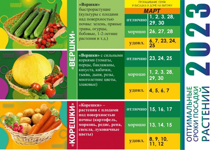 Пять шпаргалок для садоводов