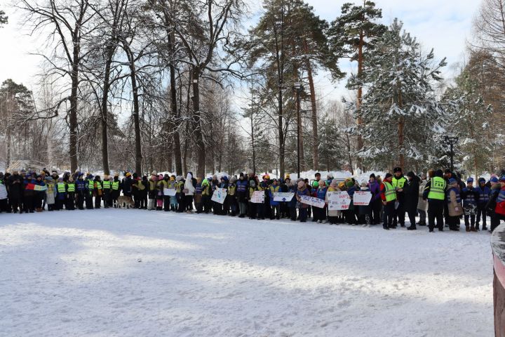 В день рождения отрядов ЮИД в Чистополе устроили праздник на свежем воздухе (фоторепортаж)