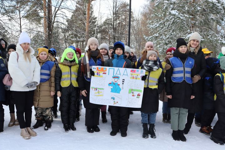 В день рождения отрядов ЮИД в Чистополе устроили праздник на свежем воздухе (фоторепортаж)