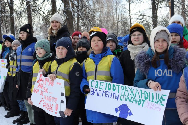 В день рождения отрядов ЮИД в Чистополе устроили праздник на свежем воздухе (фоторепортаж)