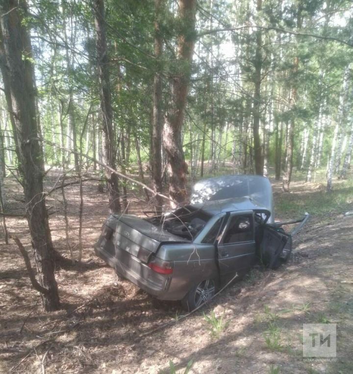 В Лаишевском районе водитель ВАЗ разбился насмерть, врезавшись в дерево