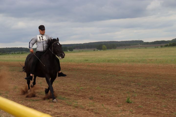 На чистопольском ипподроме состоялись конные скачки (фоторепортаж)
