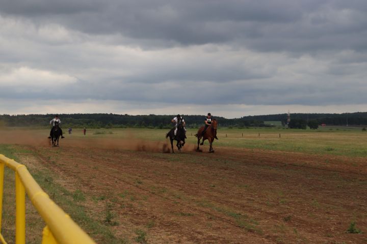 На чистопольском ипподроме состоялись конные скачки (фоторепортаж)