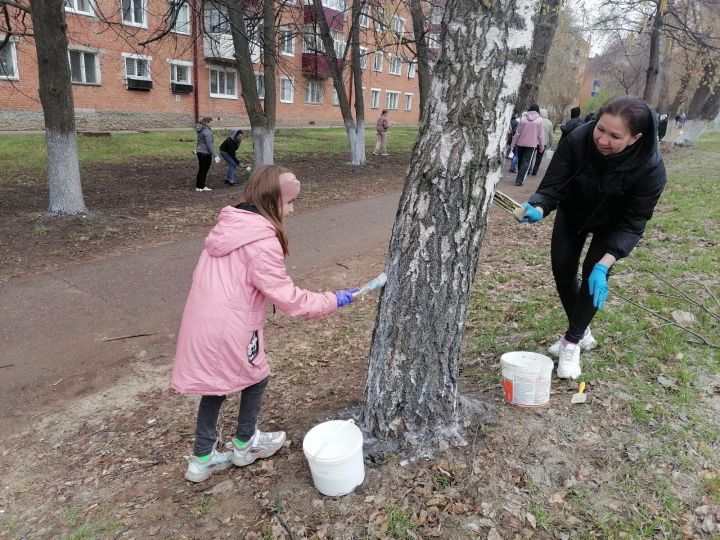 Семья из Чистополя сортирует мусор, очищает родники, делает скворечники и создает экологические игры