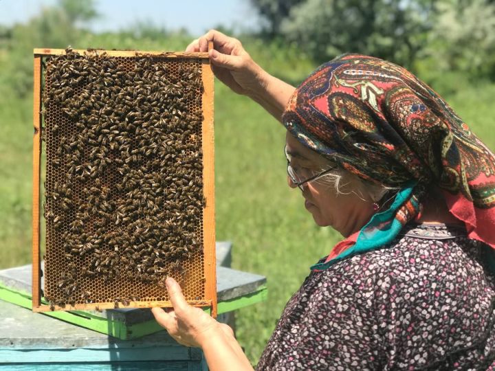 Пчеловодство – ее любимое дело: знакомьтесь с очередной участницей нашего фотоконкурса