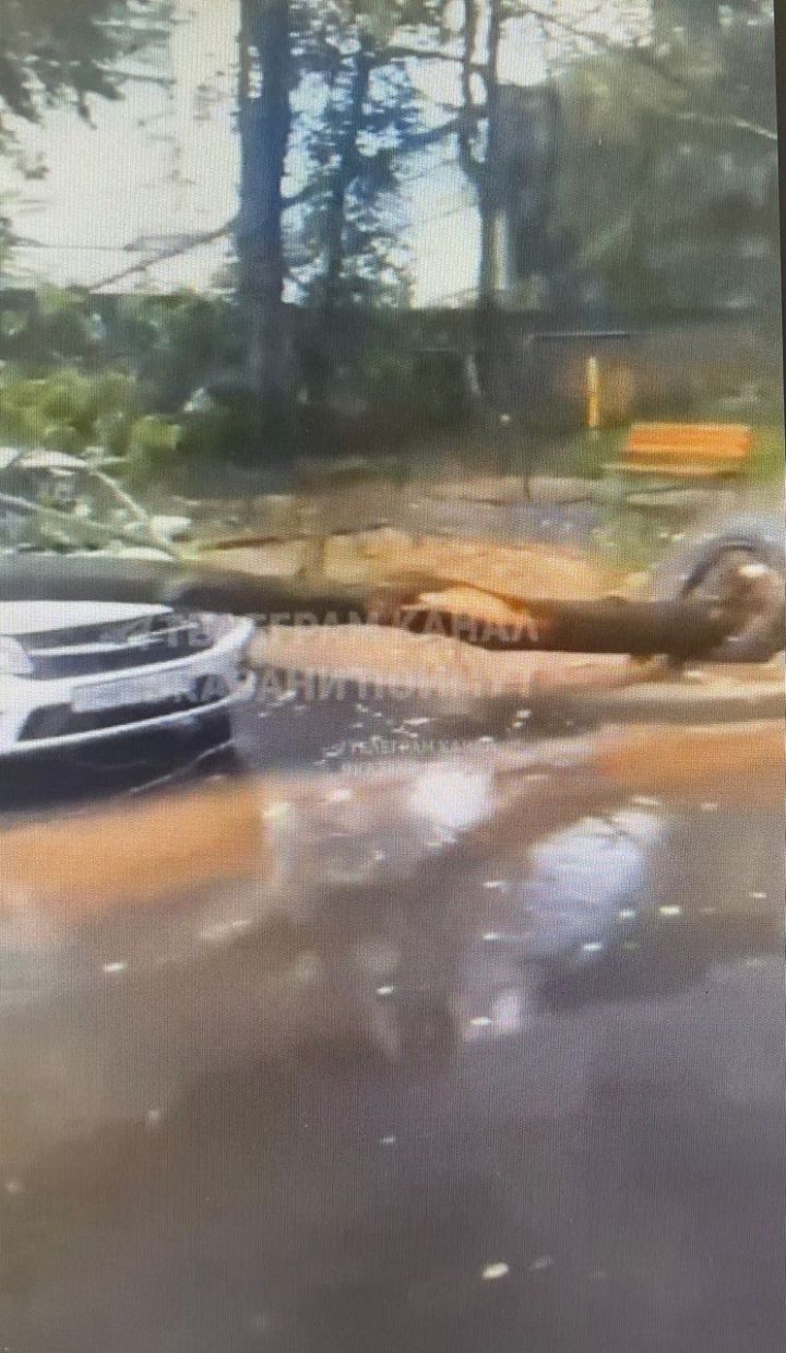 В Казани из-за непогоды на автомобиль упало дерево