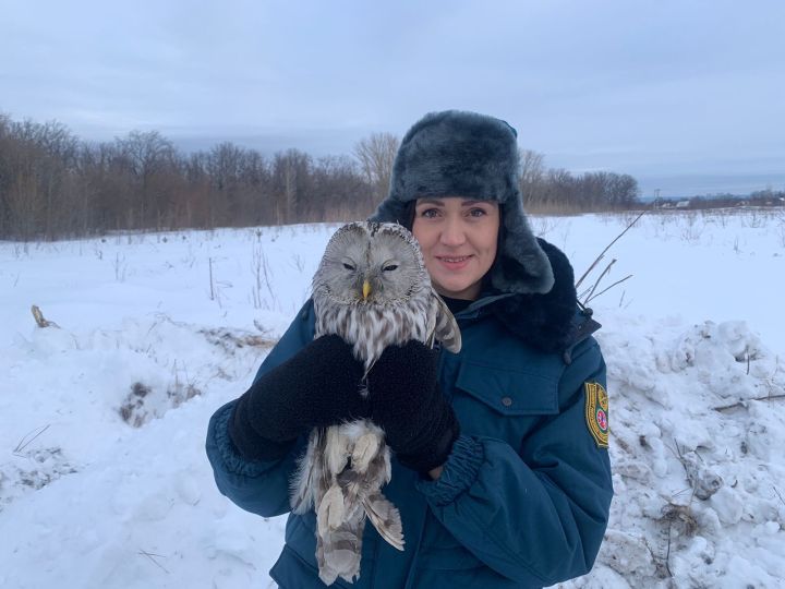 В Чистополе спасли краснокнижную сову