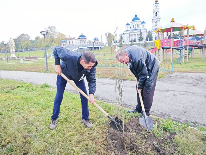 В парке на набережной Чистополя депутат Госдумы Олег Морозов и глава района Дмитрий Иванов посадили пирамидальные тополя