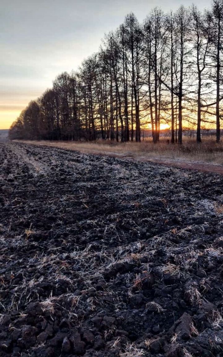 В Татарстане к концу недели прогнозируется до 12 градусов мороза