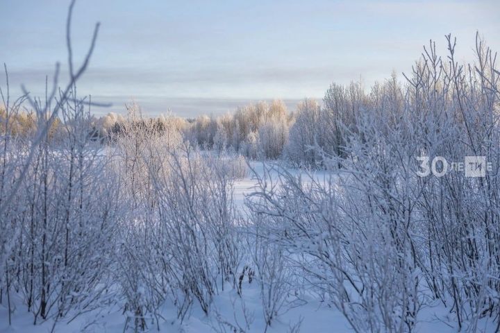 До минус 33 градусов ожидается в Татарстане