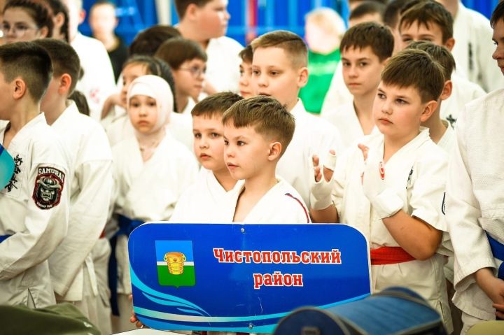 Чистопольские спортсмены завоевали призовые места в Первенстве Республики Татарстан по каратэ Киокусинкай
