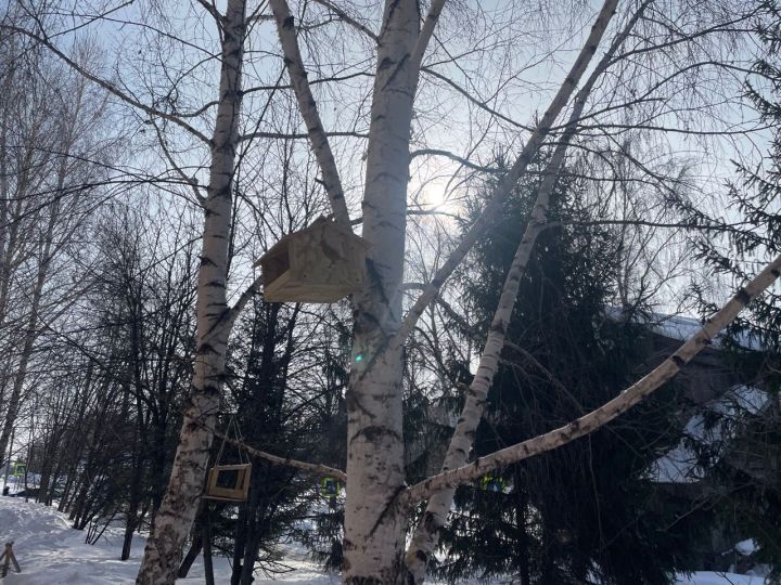 До 4 градусов тепла ожидается в Чистополе