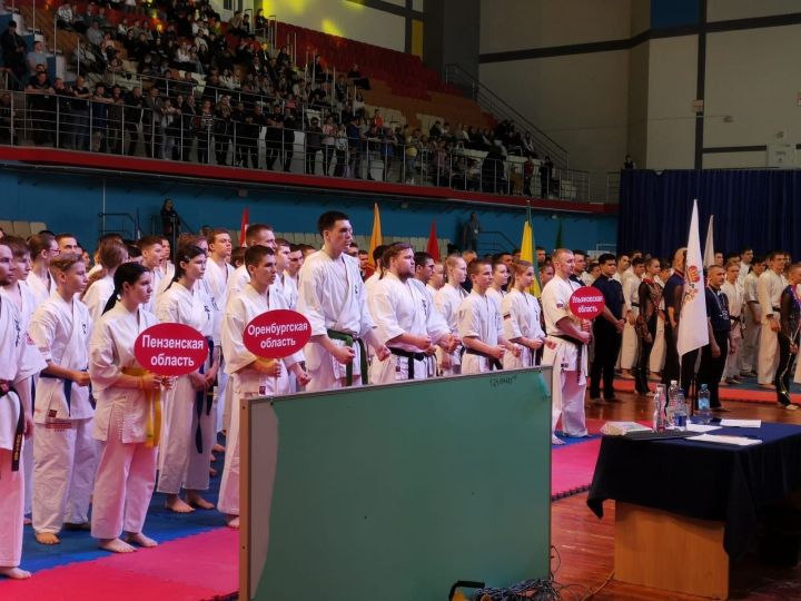 Чистопольские каратисты завоевали медали на Первенстве ПФО